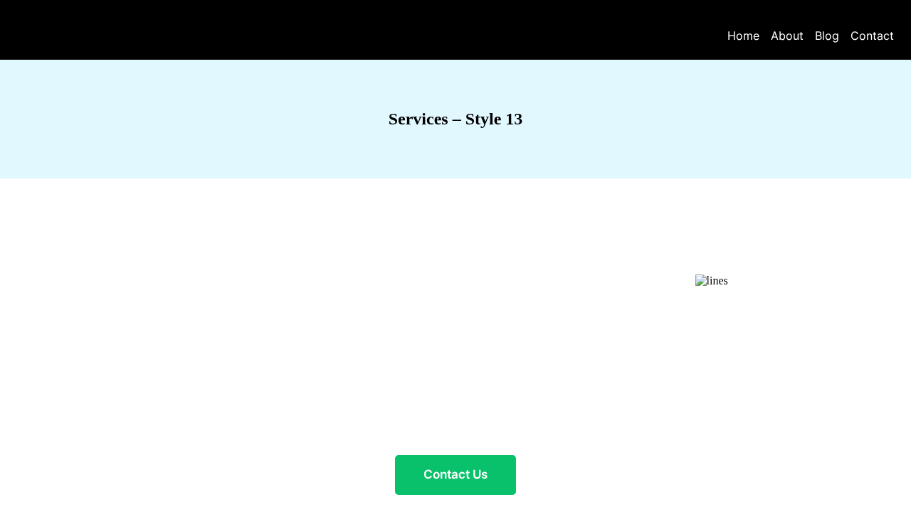 Services Style 13